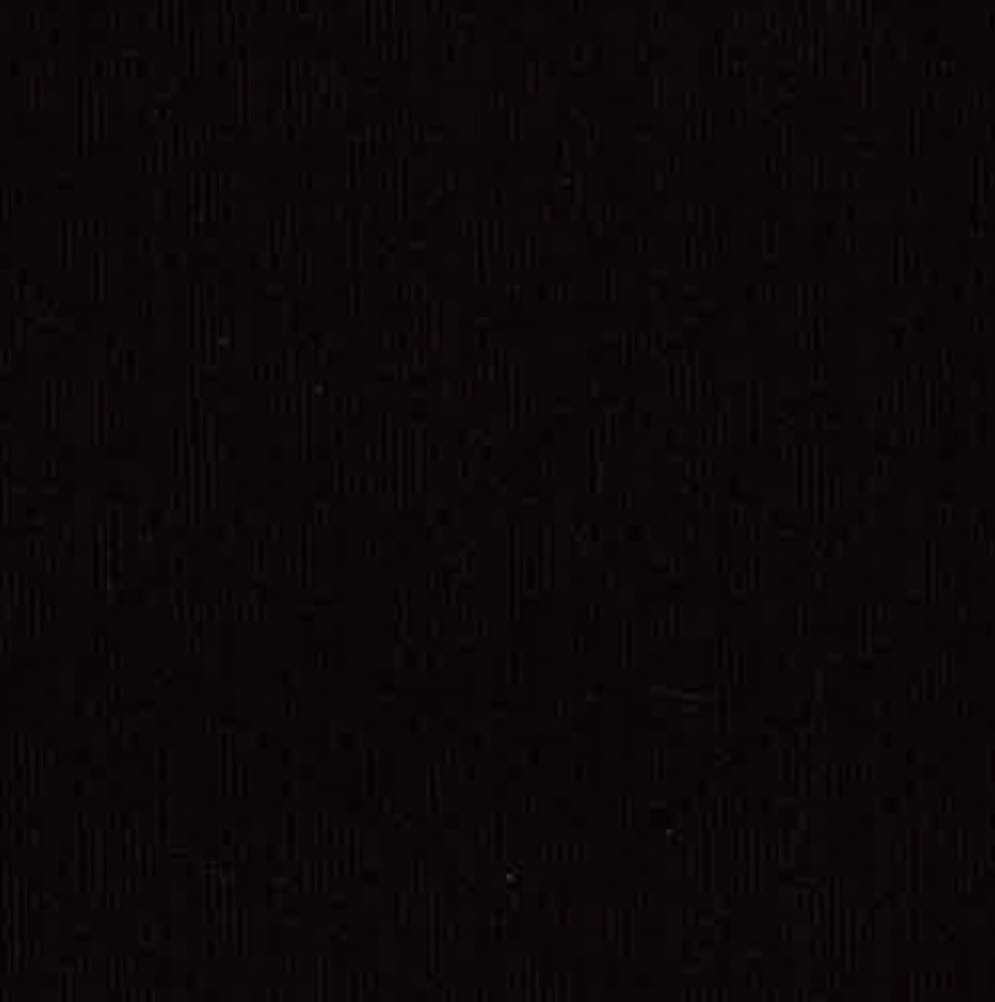 negro_