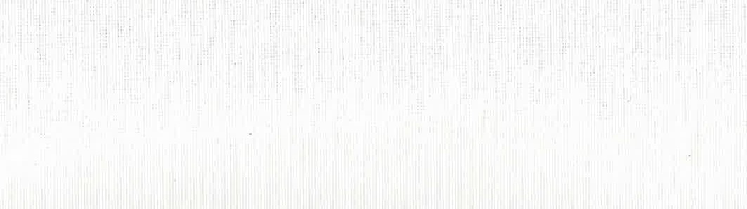 loneta tintura 02
