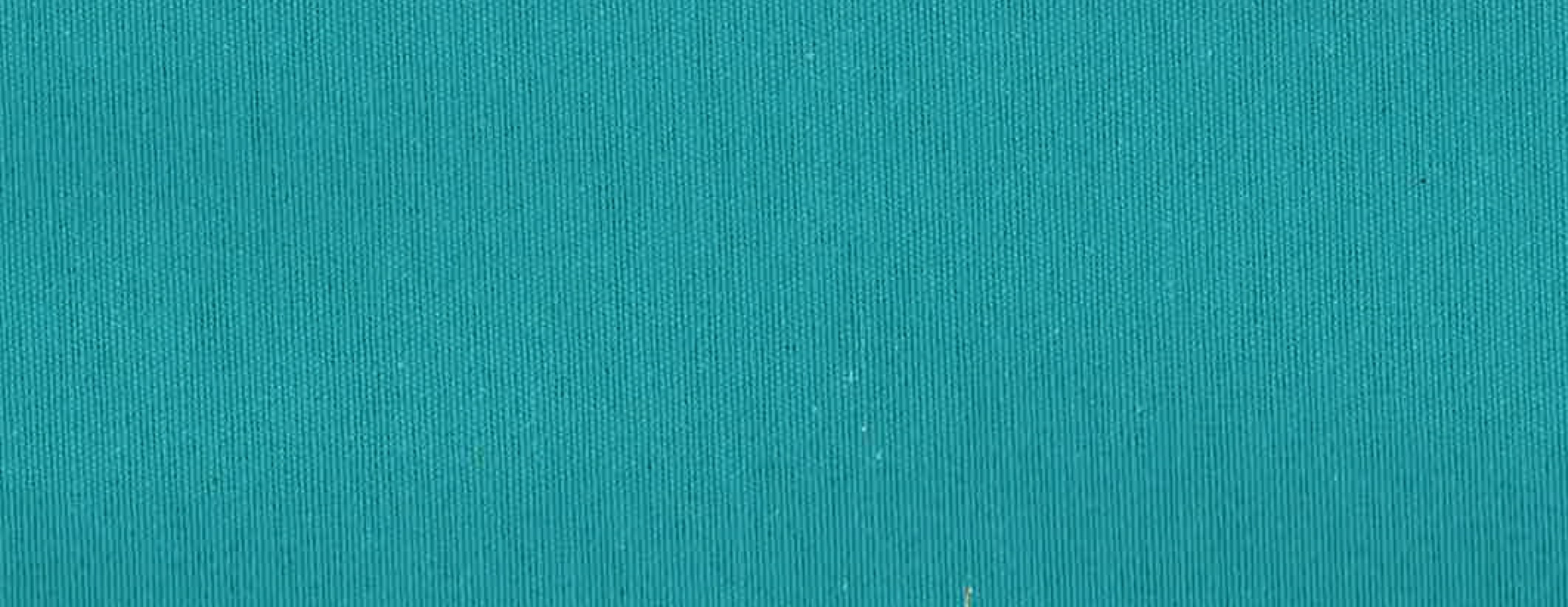 loneta tintura 29