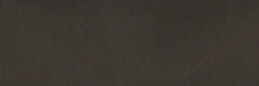 loneta 21