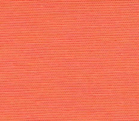 Neon 22